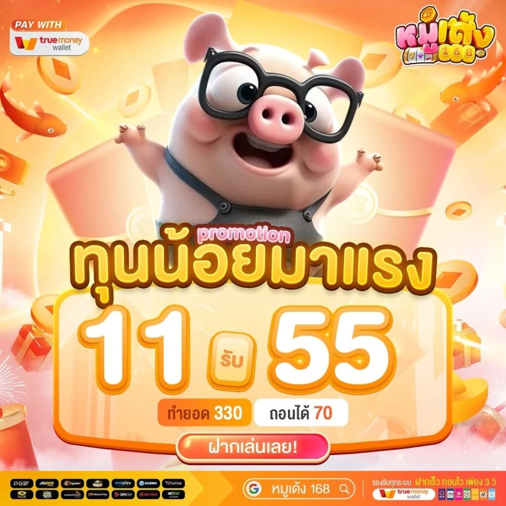 หมูเด้ง168